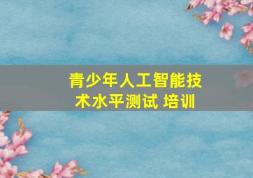 青少年人工智能技术水平测试 培训